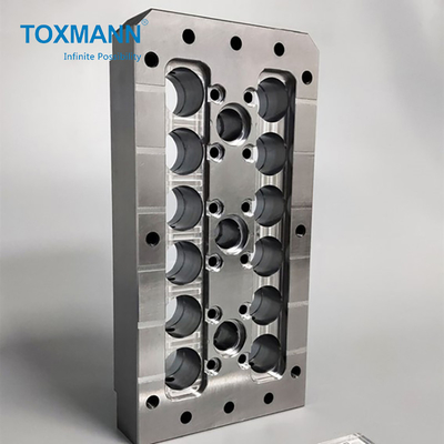 Toxmann प्रैक्टिकल प्रेसिजन मोल्ड पार्ट्स कॉस्मेटिक्स प्लास्टिक मोल्ड के लिए कोर प्लेट